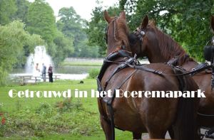 album-getrouwd-in-het-boeremapark