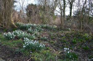 20140223 de lente begint