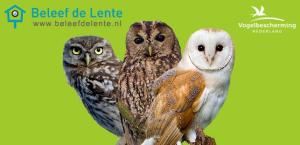 Beleef de lente Vogelbescherming