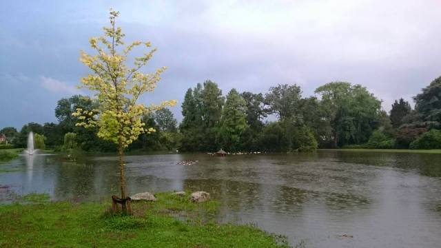 11707577_959035004160423_8995521983679923200_n