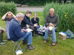 Ganzenonderzoek Bpark 2013 3